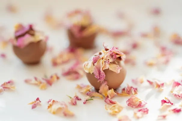 Casino Lotus Asia Application Android/iOS